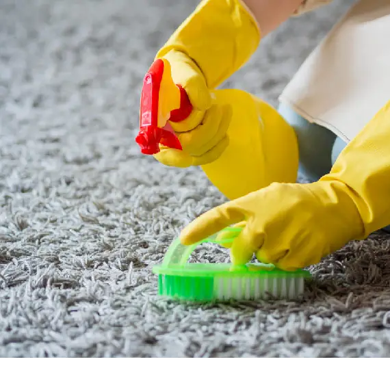 Choose the best among the best at Carpet Cleaning Moonee Ponds